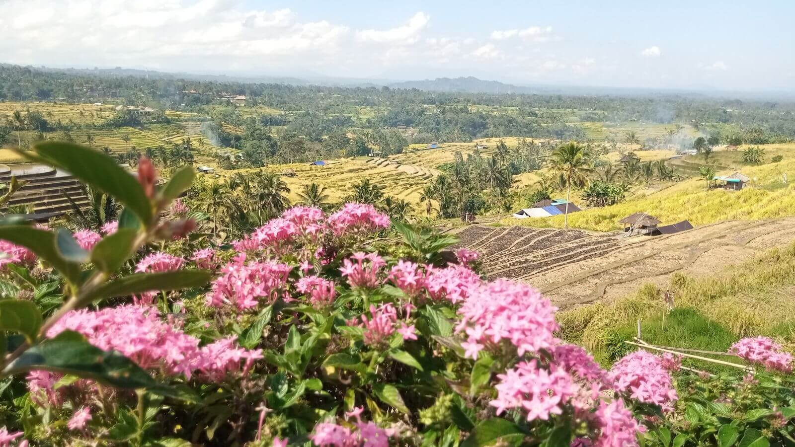 Bali Becik Ubud Tour