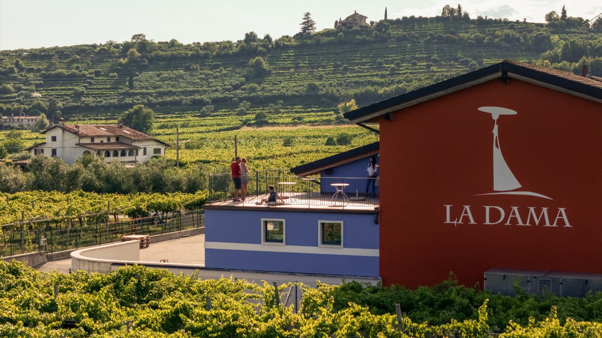 La Dama Vini