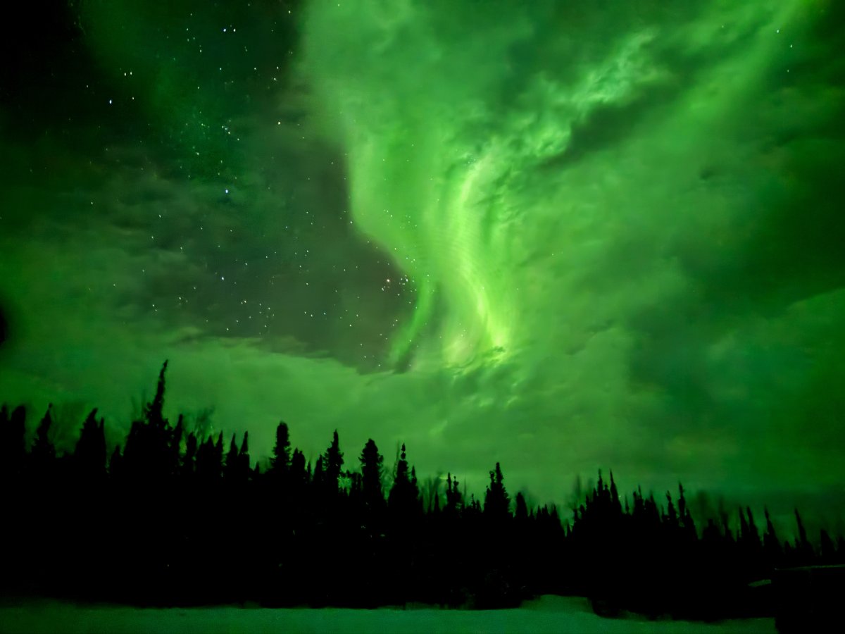 Alaska Wild Lights