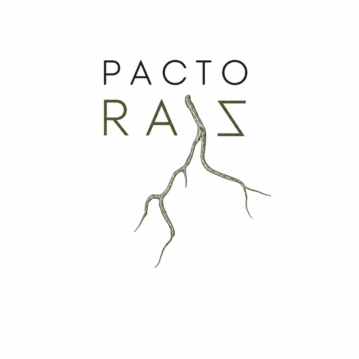 Pacto Raíz
