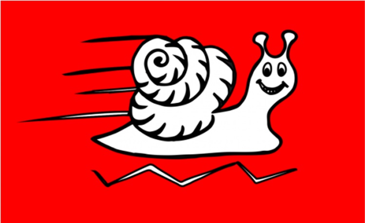 Crazy Snail Rentals