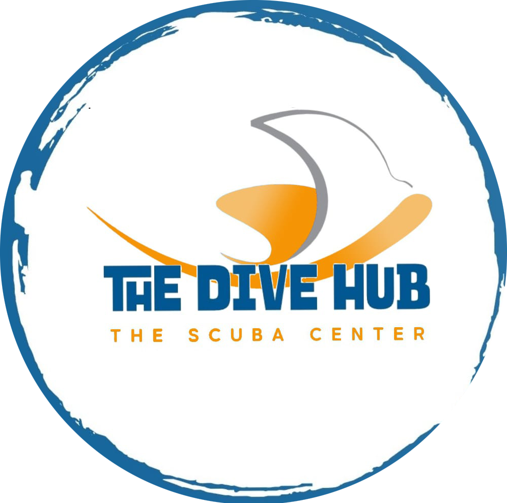The Dive Hub Inc.