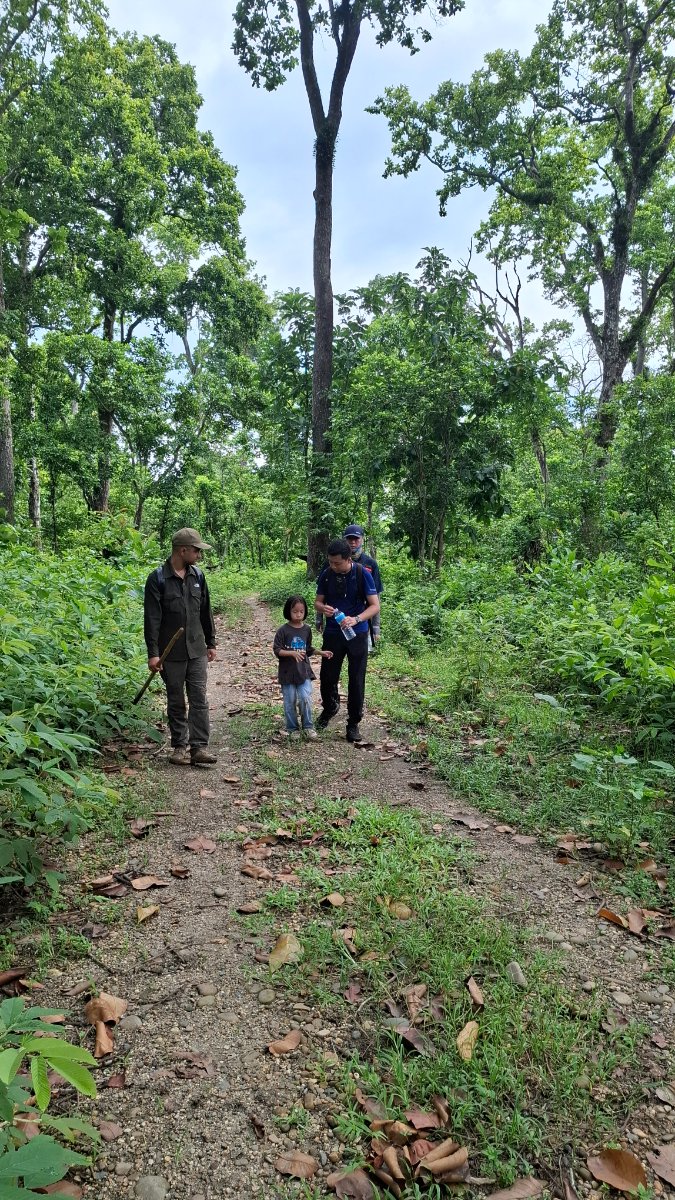 Tigertops sauraha tours