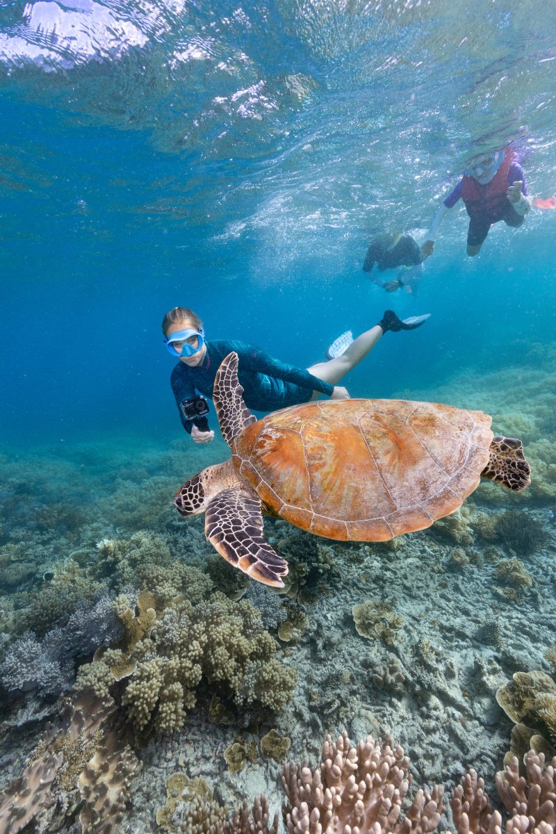 Calypso Reef Imagery Centre