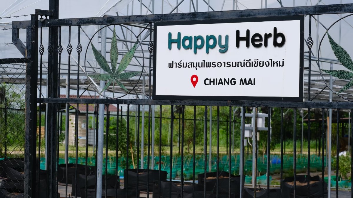 Happy Herb Cannabis Farm