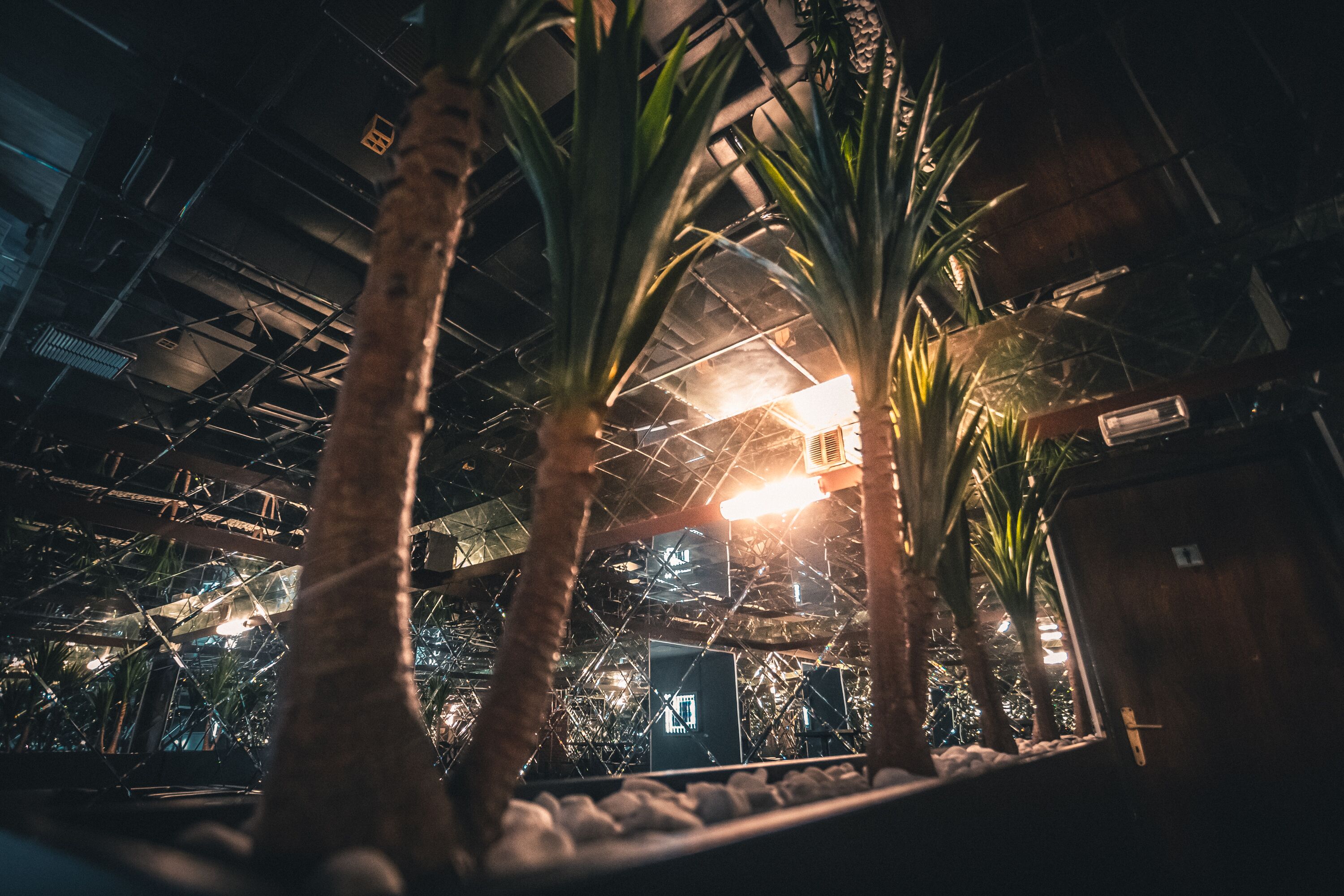 The Lounge