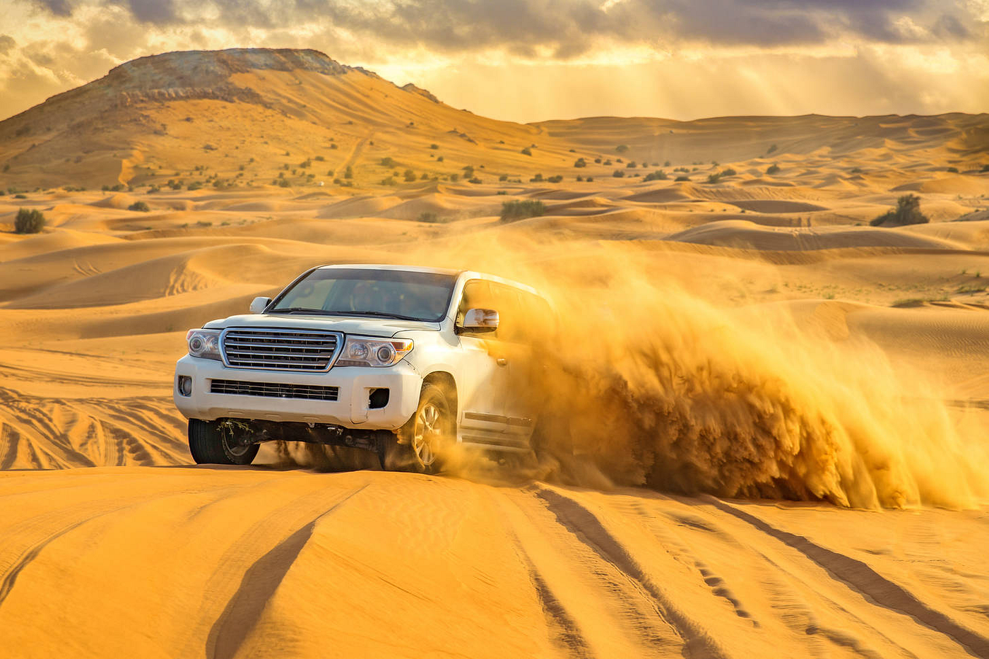 Golden Adventures Qatar