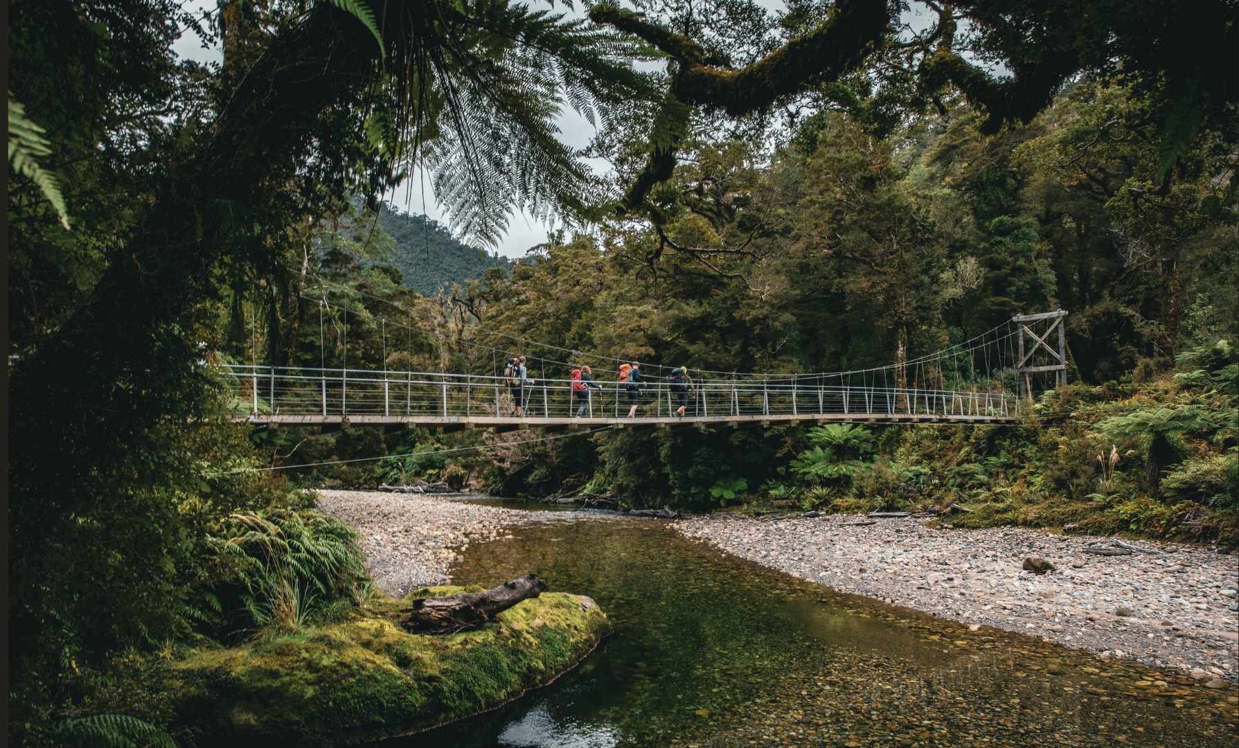 Paparoa Guided Walks