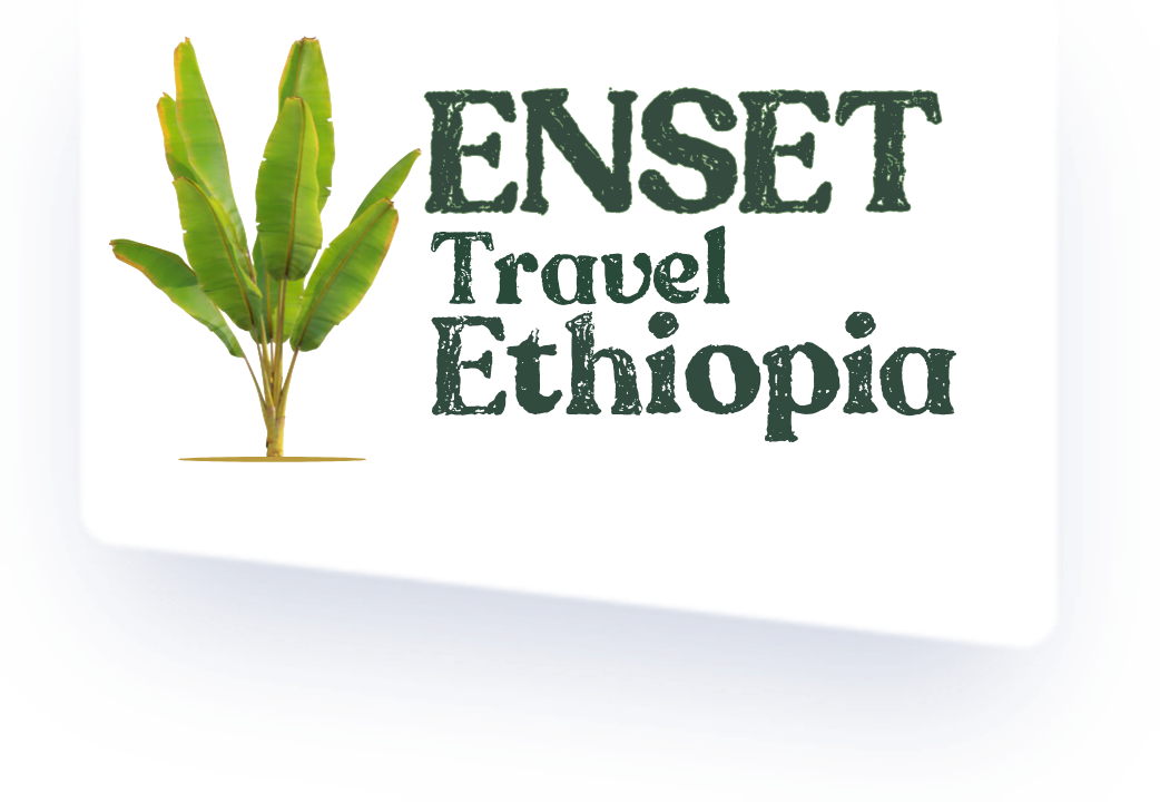 Enset Travel and Tour