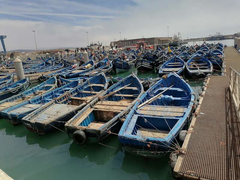 Marrakech: Essauira day trip