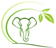 Conserve Natural Forests