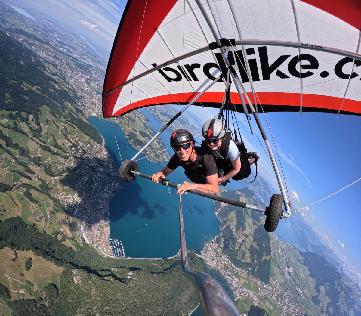 birdlike hang gliding