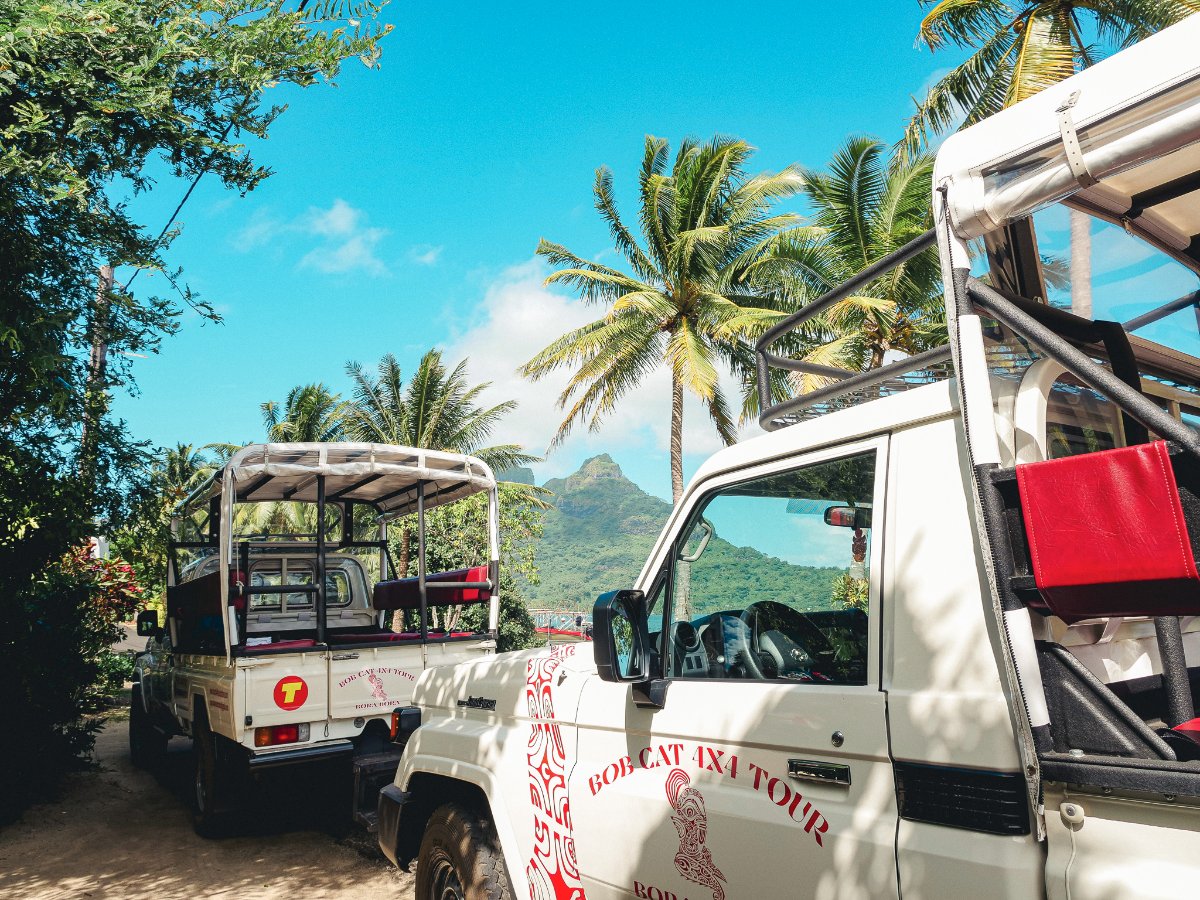 4WD PARADISE EXPLORER BORA