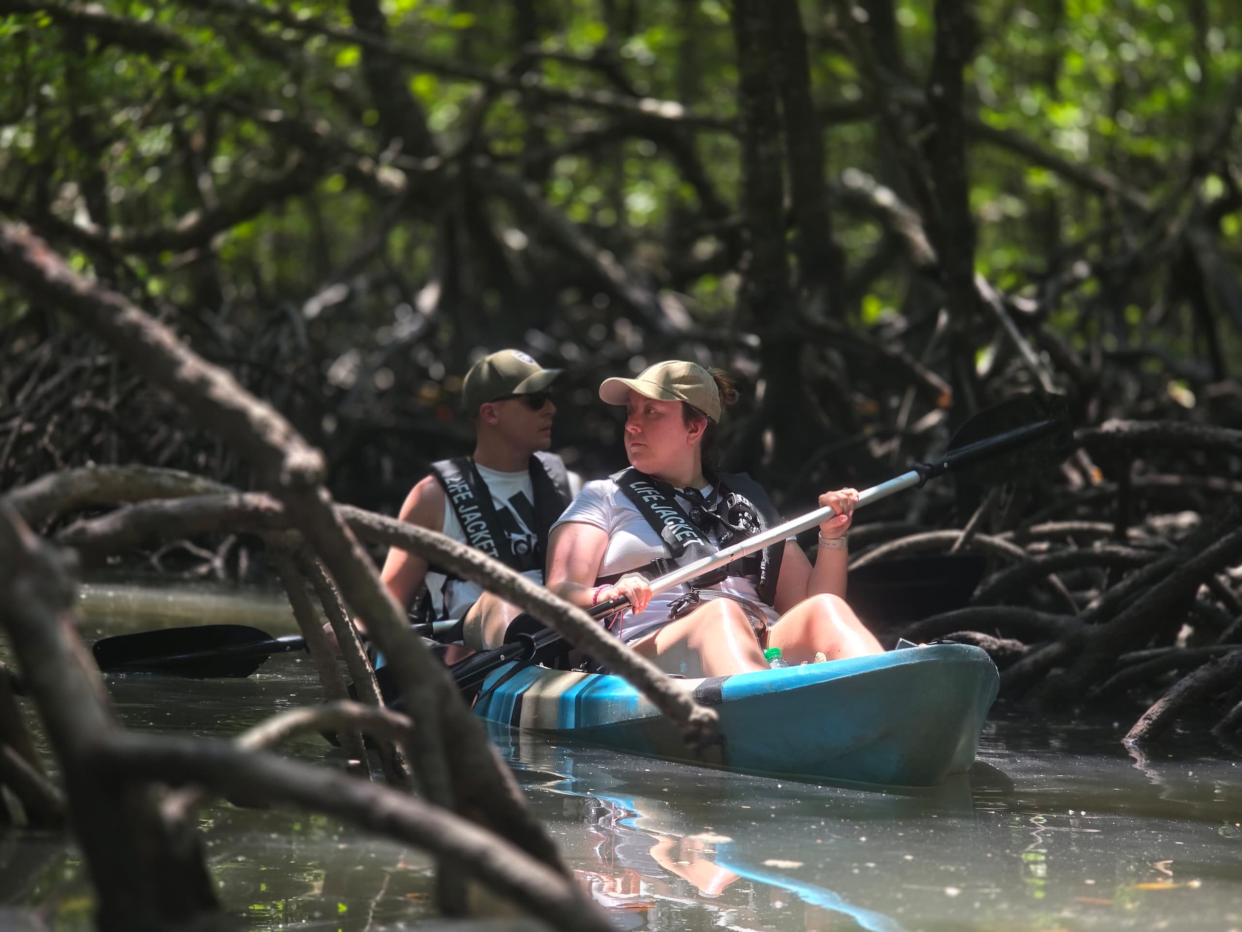 Mangrove Kayak Tour With Lunch