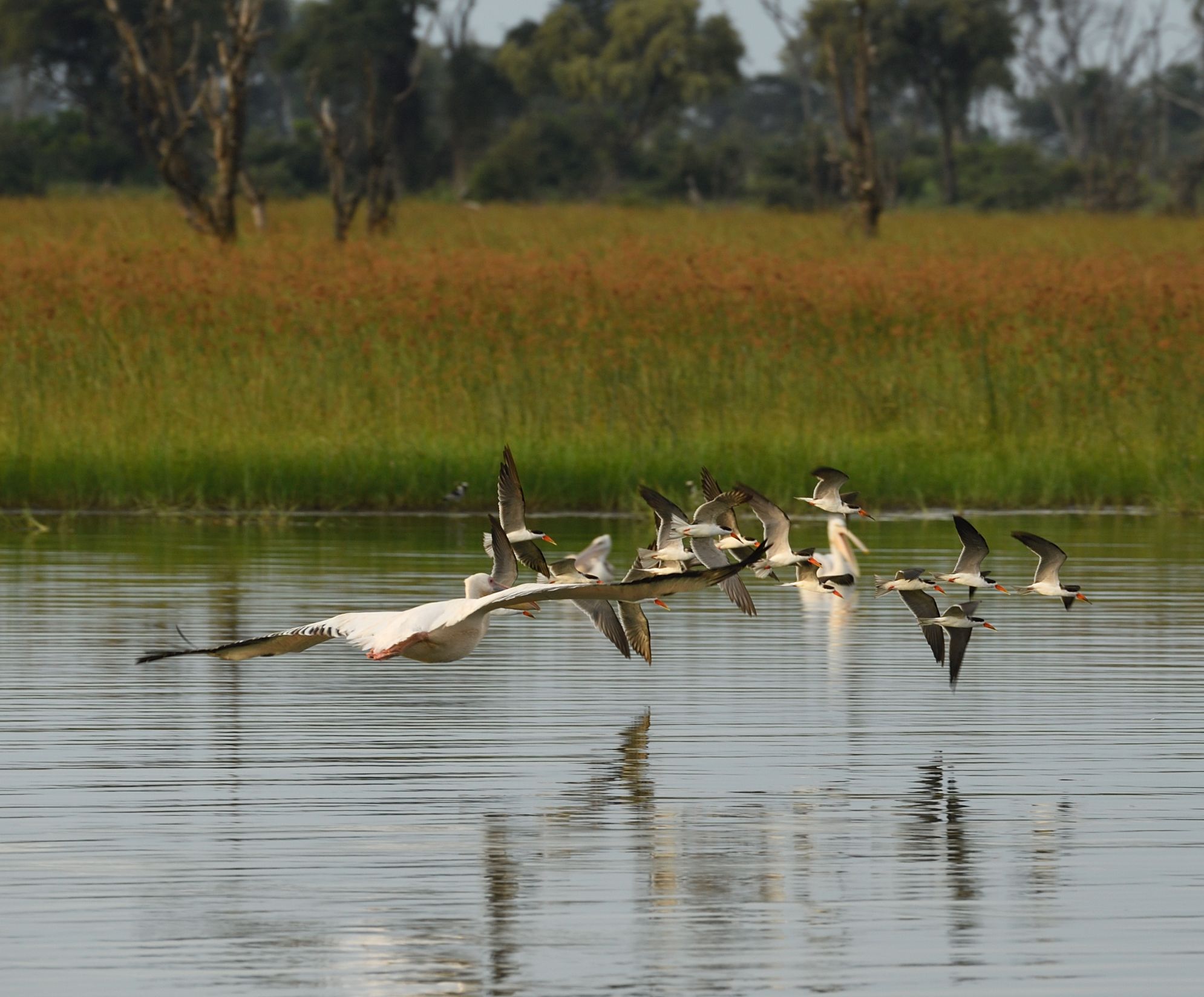 3 Days- Okavango Delta
