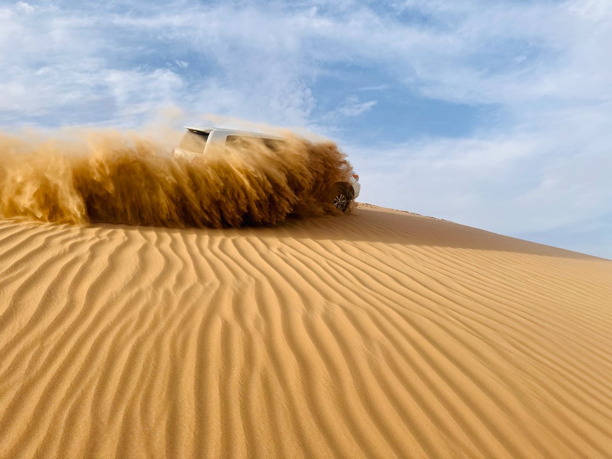 Visitors Destination Tours