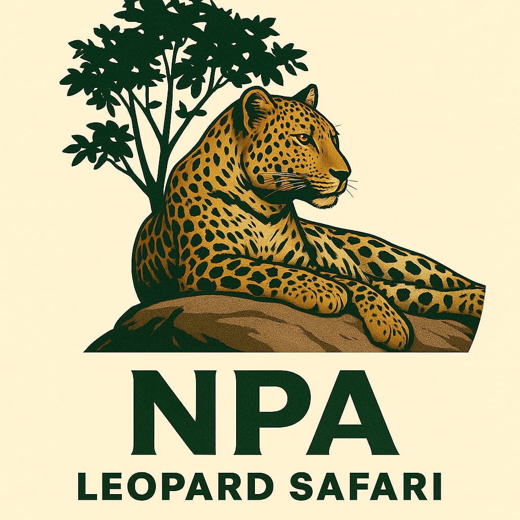 NPA Leopard Safari